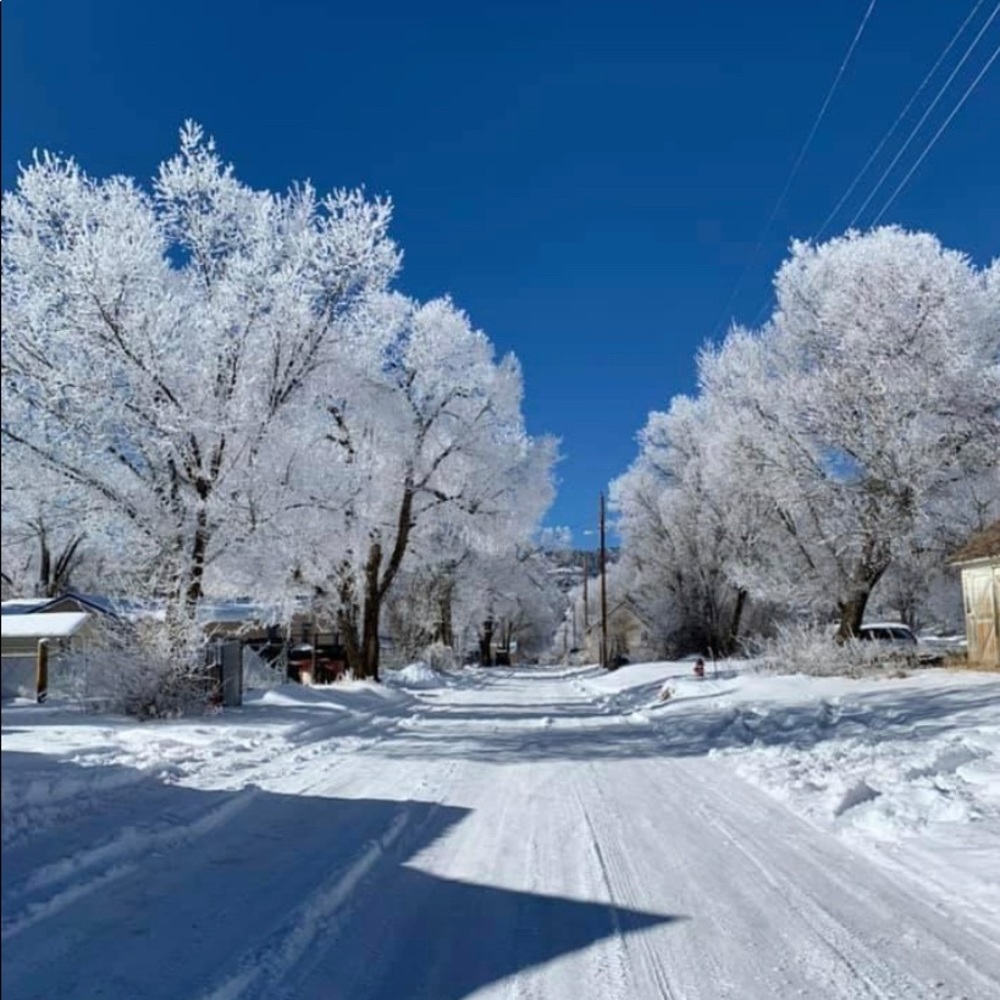 Meet your Posher, Leann